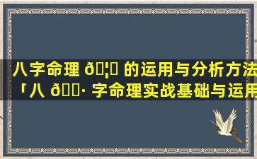 八字命理 🦅 的运用与分析方法「八 🌷 字命理实战基础与运用」